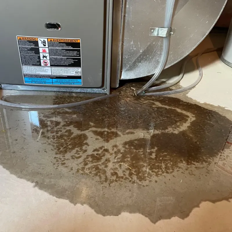 Appliance Leak Cleanup in Childersburg, AL